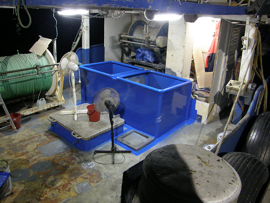 Commercial fishing vessel, showing brine tank combing. Post construction, blasting and painting.